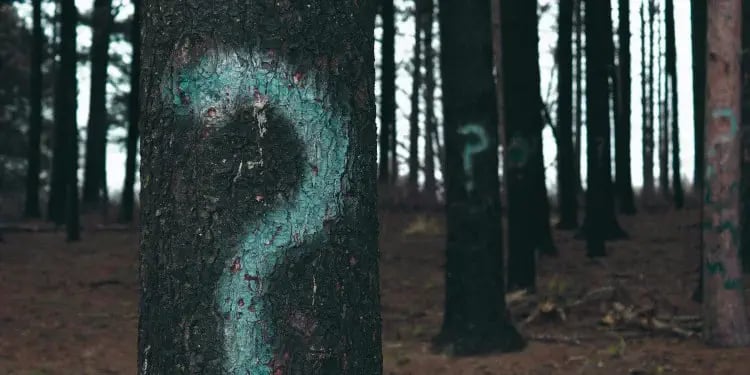 6 questions for an eQMS provider new (1)