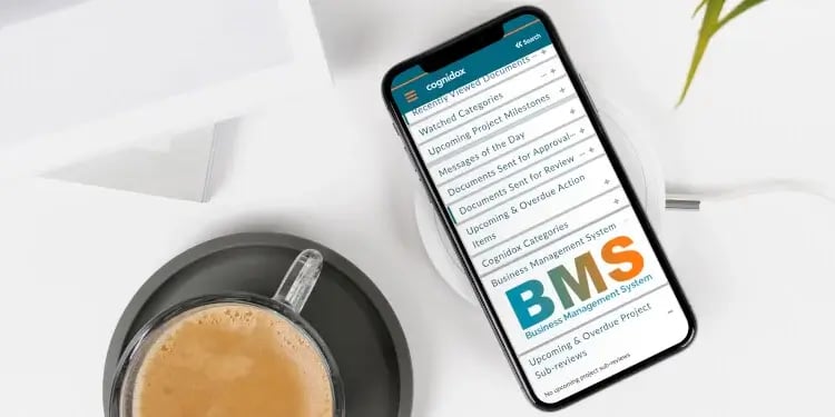 BMS cognidox page (1)