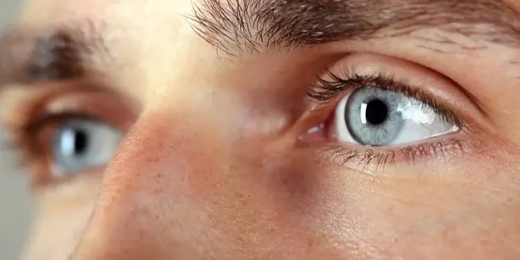 document management system