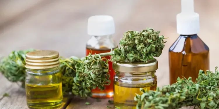 GMP in the CBD Industry