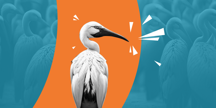 Non-Conformance-Cognidox (1)